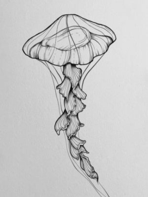 Jellyfish Tattoo design